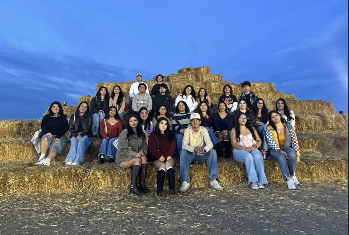 Chicanx Latinx Collegiate Association Gallery Image
