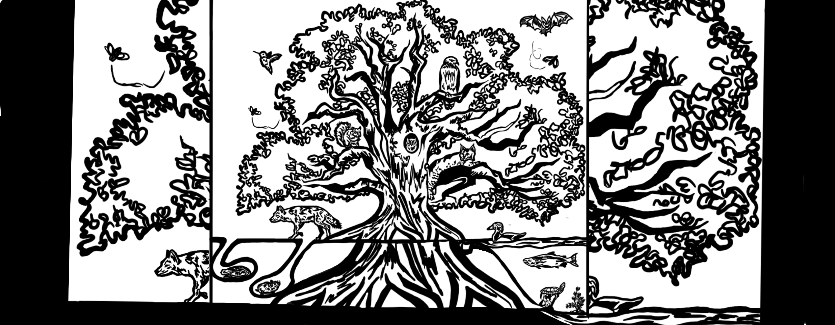 Scientific Illustration Club at Uc Davis Cover Image