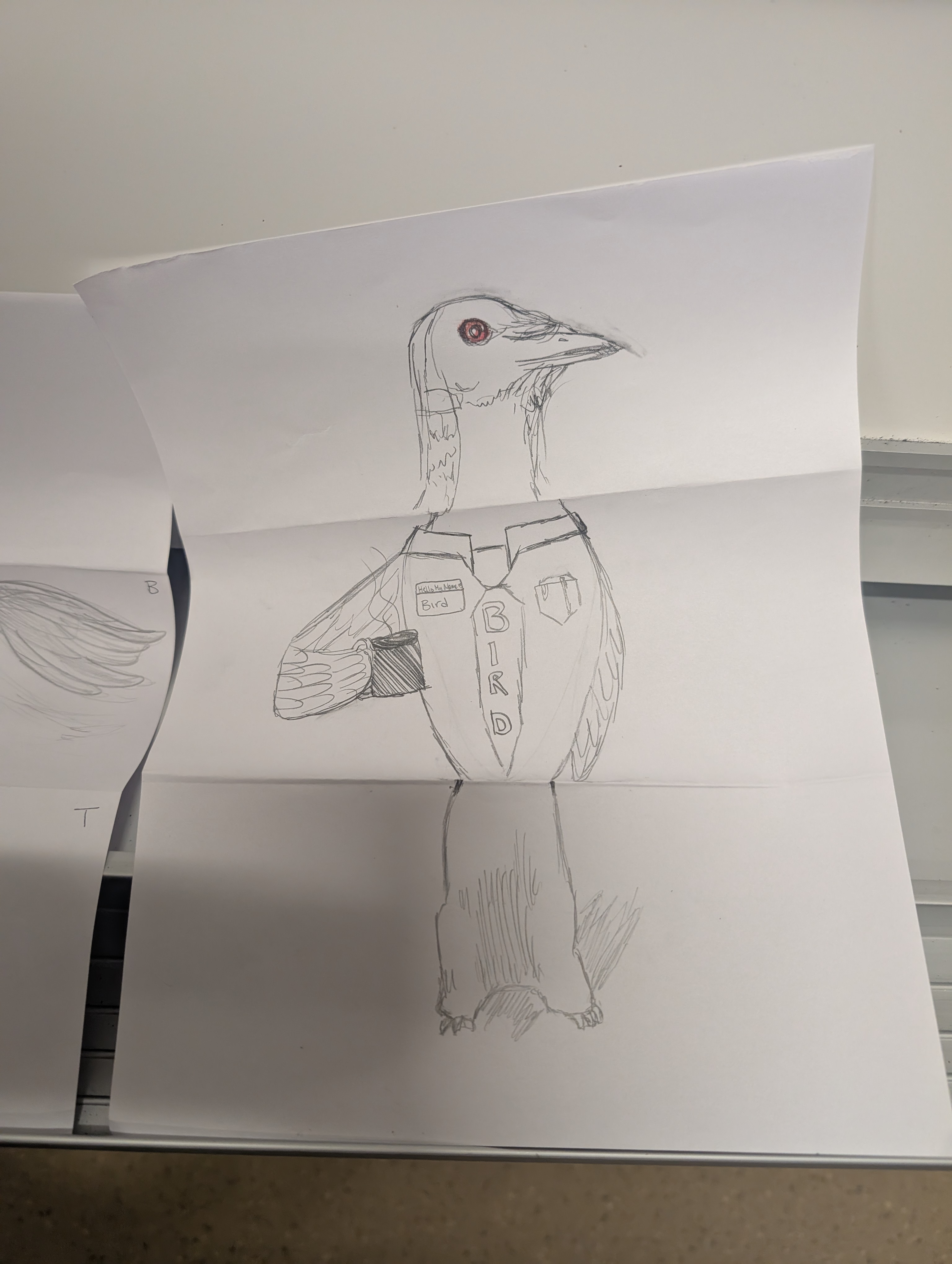 Scientific Illustration Club at Uc Davis  Gallery Image