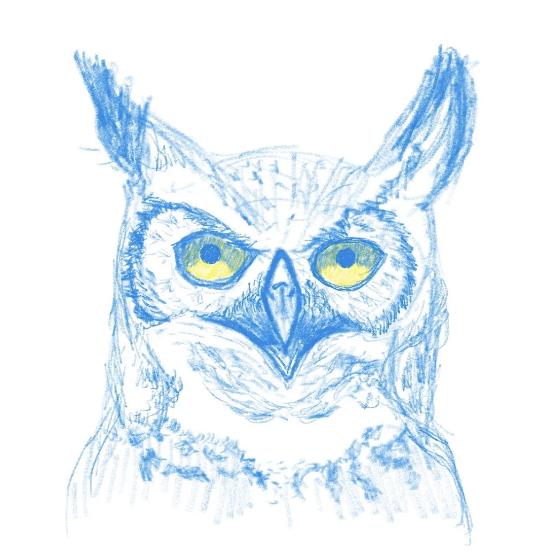 Scientific Illustration Club at Uc Davis  Gallery Image