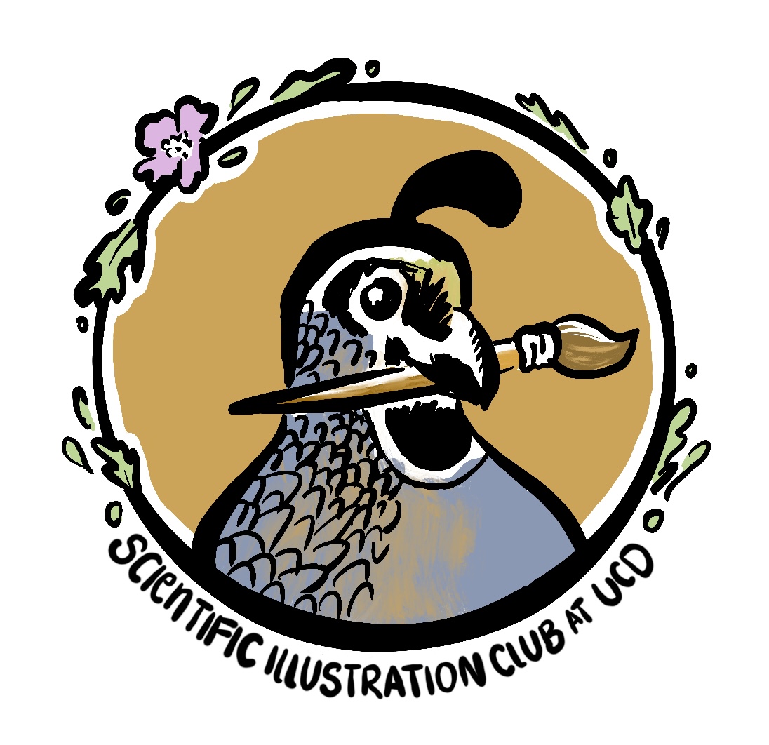 Scientific Illustration Club at Uc Davis  Logo