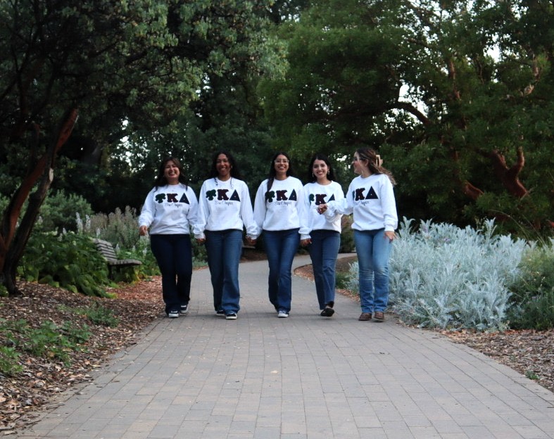 Upsilon Kappa Delta Multicultural Sorority Inc. Cover Image